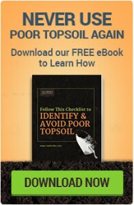 Get your FREE eBook